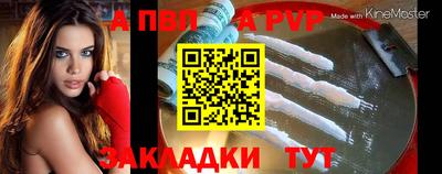 сатива Кингисепп