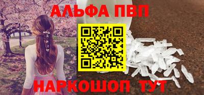 сатива Кингисепп