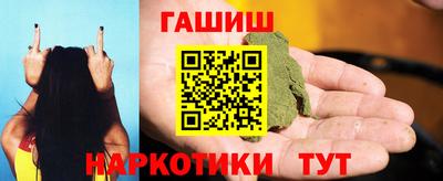сатива Кингисепп