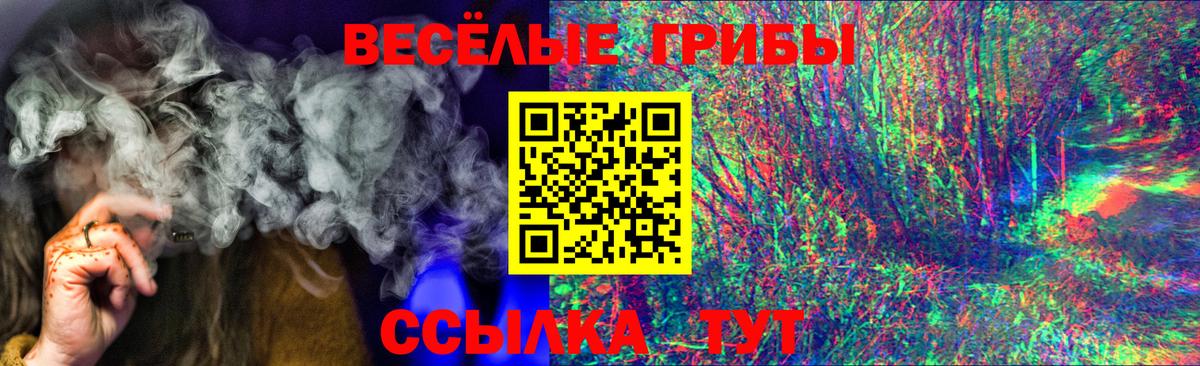 Знаменск  Галлюциногенные грибы MAGIC MUSHROOMS  Вход с VPN 