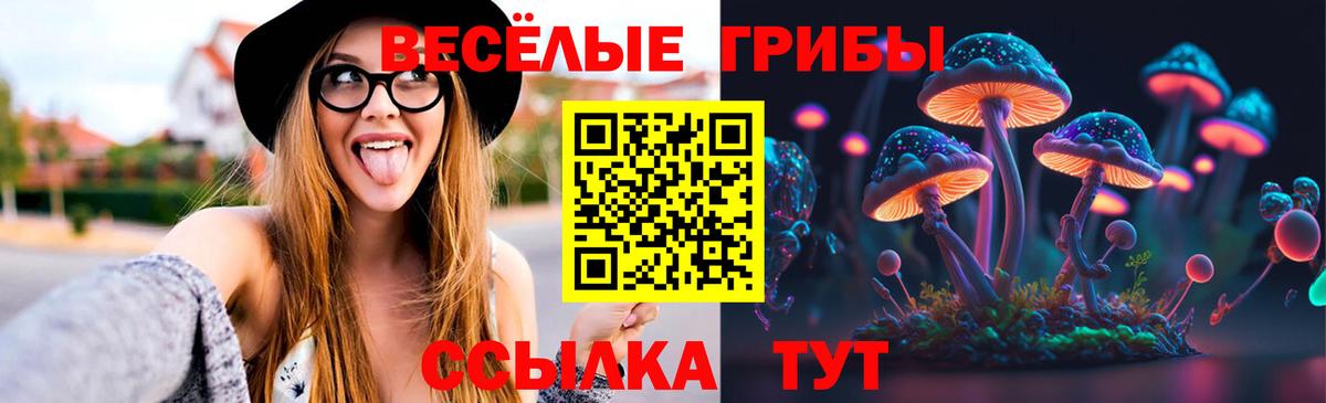 Альфа ПВП Знаменск